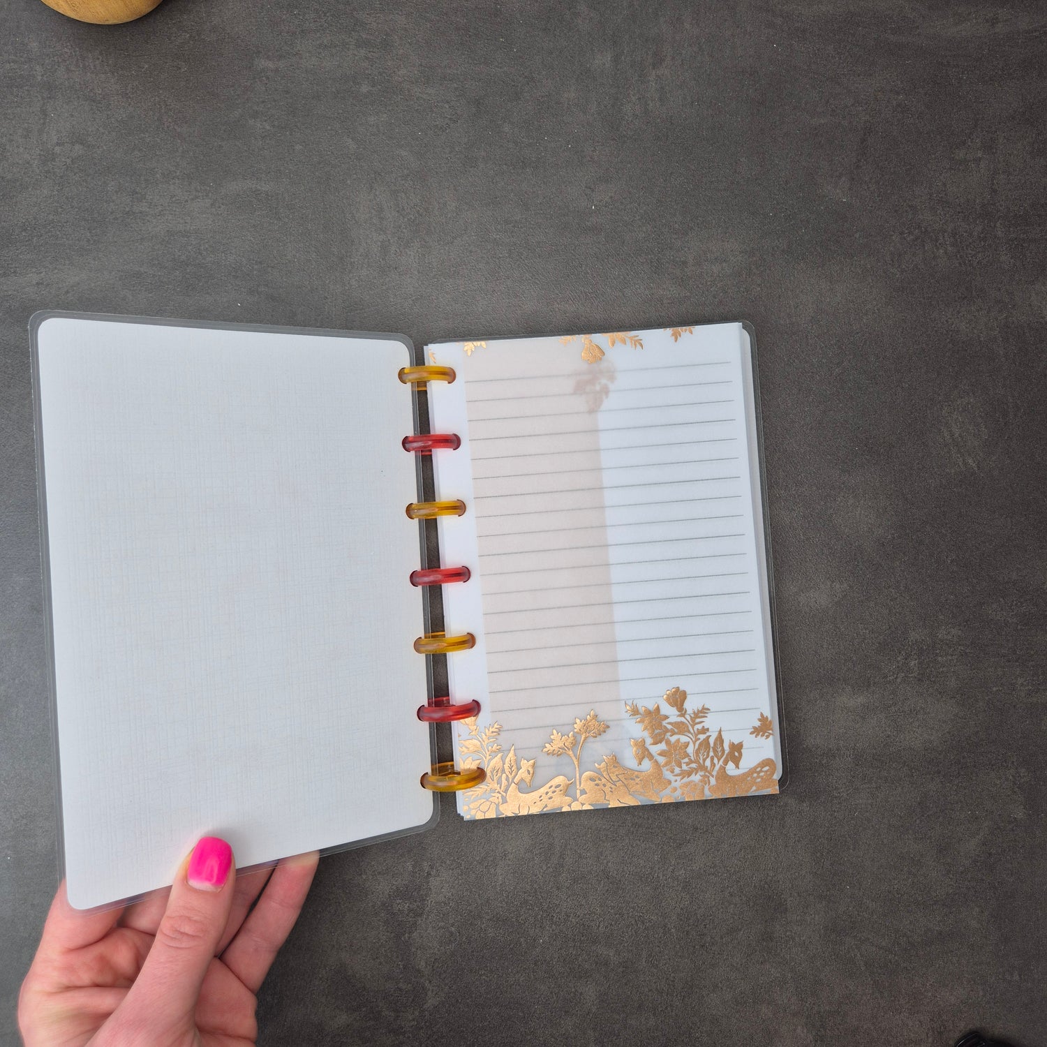 Mini Discbound Notizbuch „Waldtiere" – handgefertigt, nachfüllbar & liebevoll gestaltet