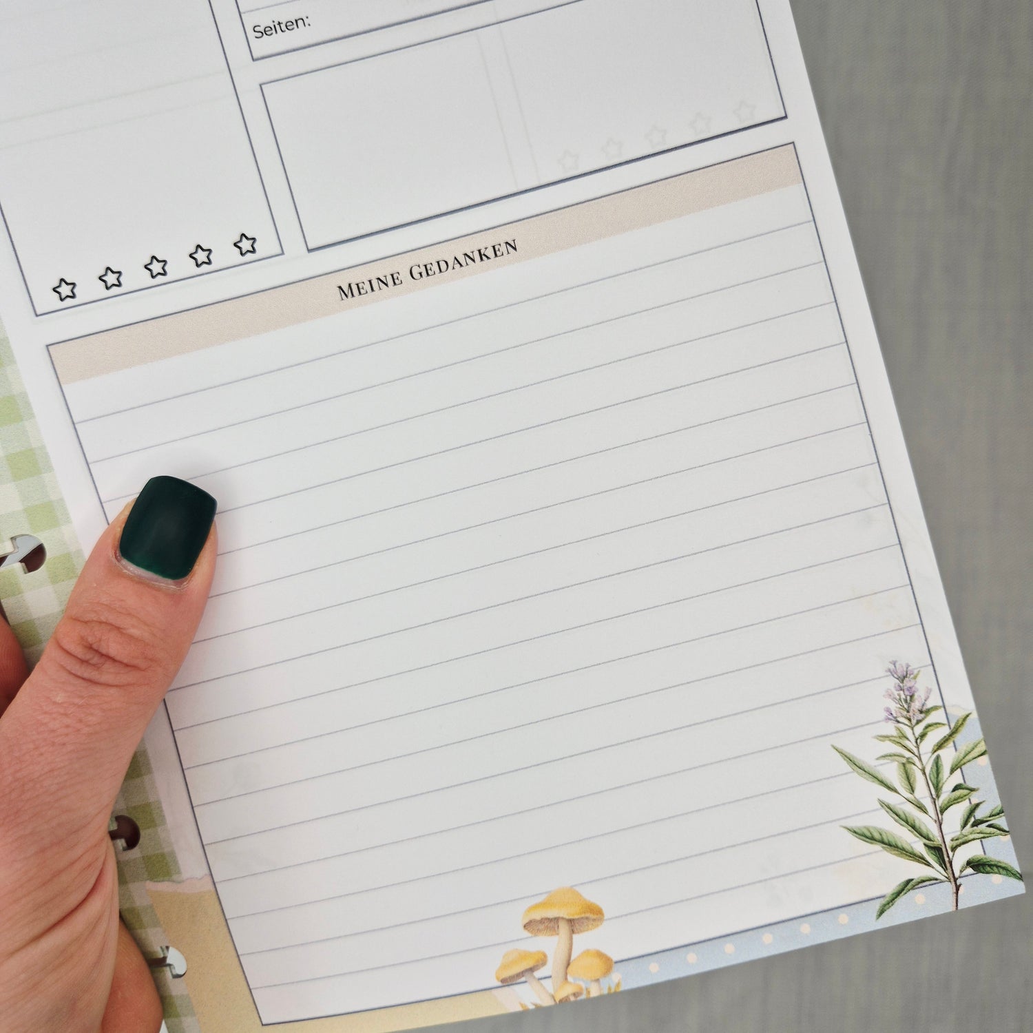 Buch-Review Tracker Einlagen