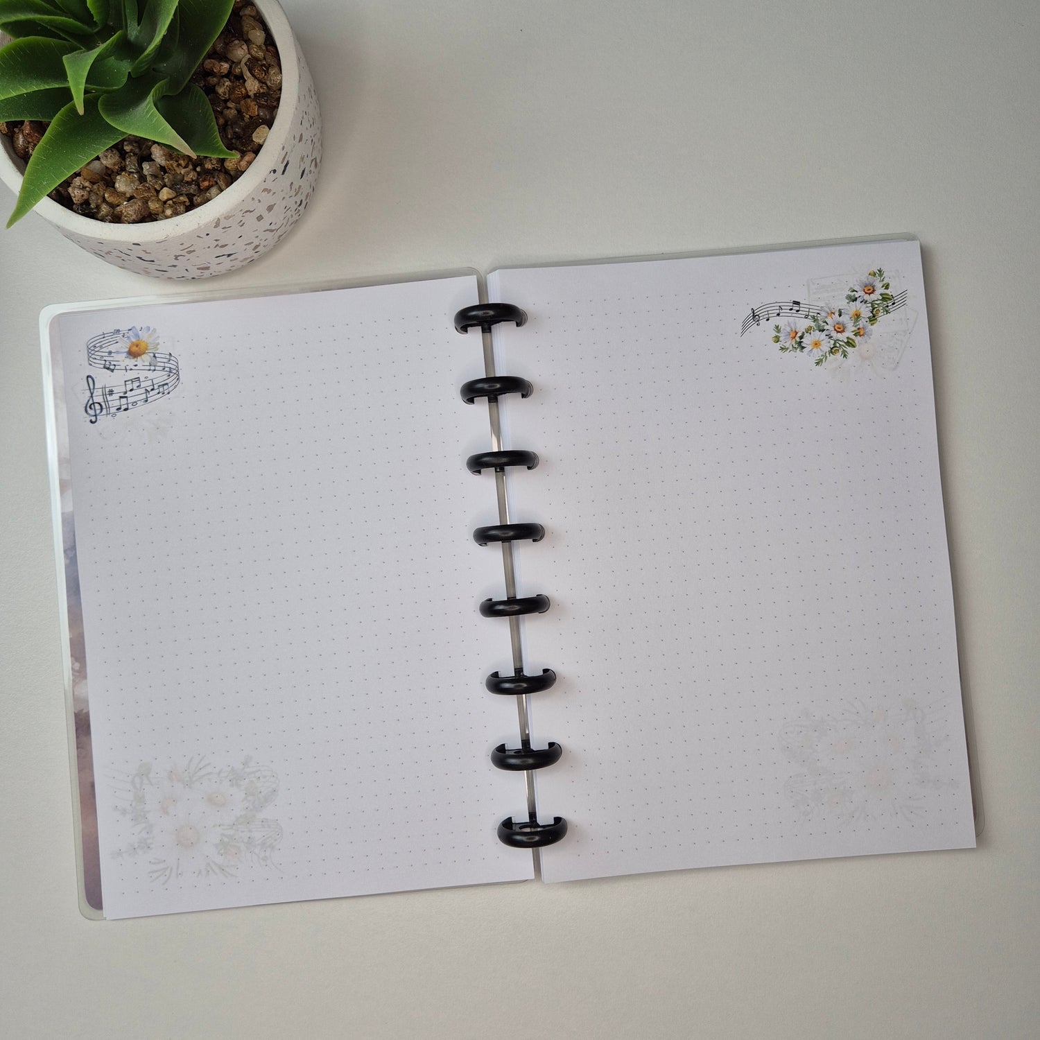 Discbuch A5 | Aquarell Gänseblümchen & Schmetterling Notizbuch