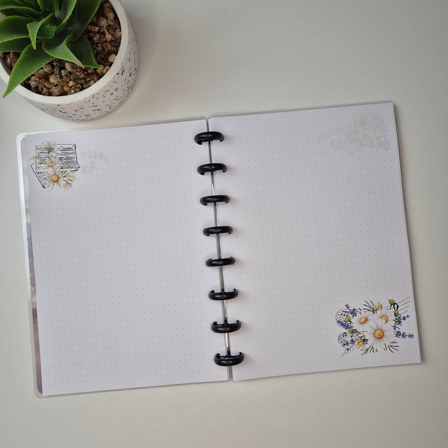Discbuch A5 | Aquarell Gänseblümchen & Schmetterling Notizbuch