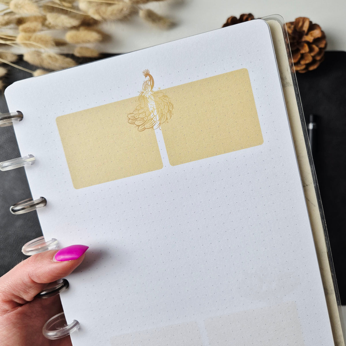 Discbound Notizbuch A5 Pusteblumen – gepunktet Creme-Gold Vintage-Design