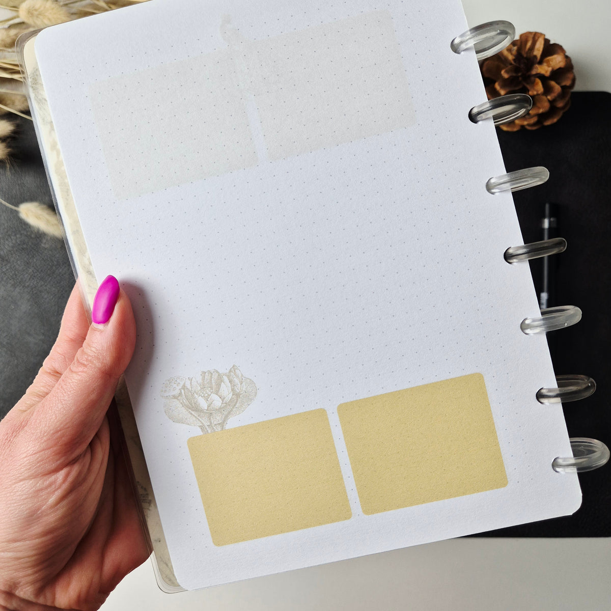 Discbound Notizbuch A5 Pusteblumen – gepunktet Creme-Gold Vintage-Design