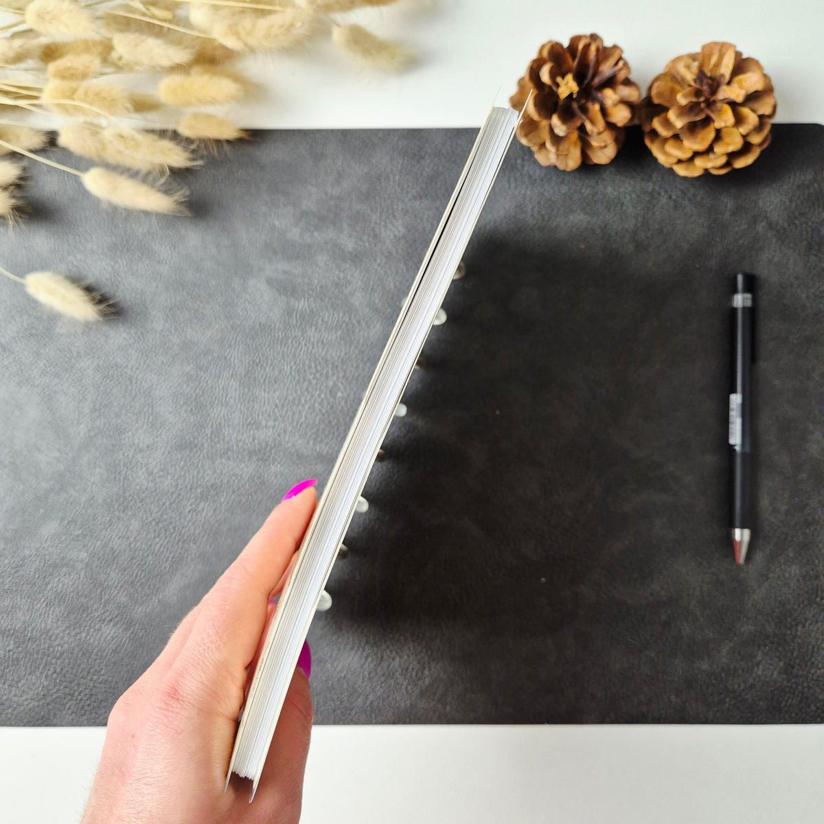 Discbound Notizbuch A5 Pusteblumen – gepunktet Creme-Gold Vintage-Design