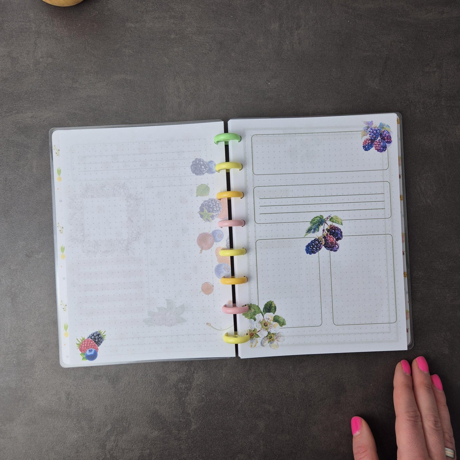 Dein wendebares A5 Discbound Bullet Journal – handgemacht mit bunten Seiten