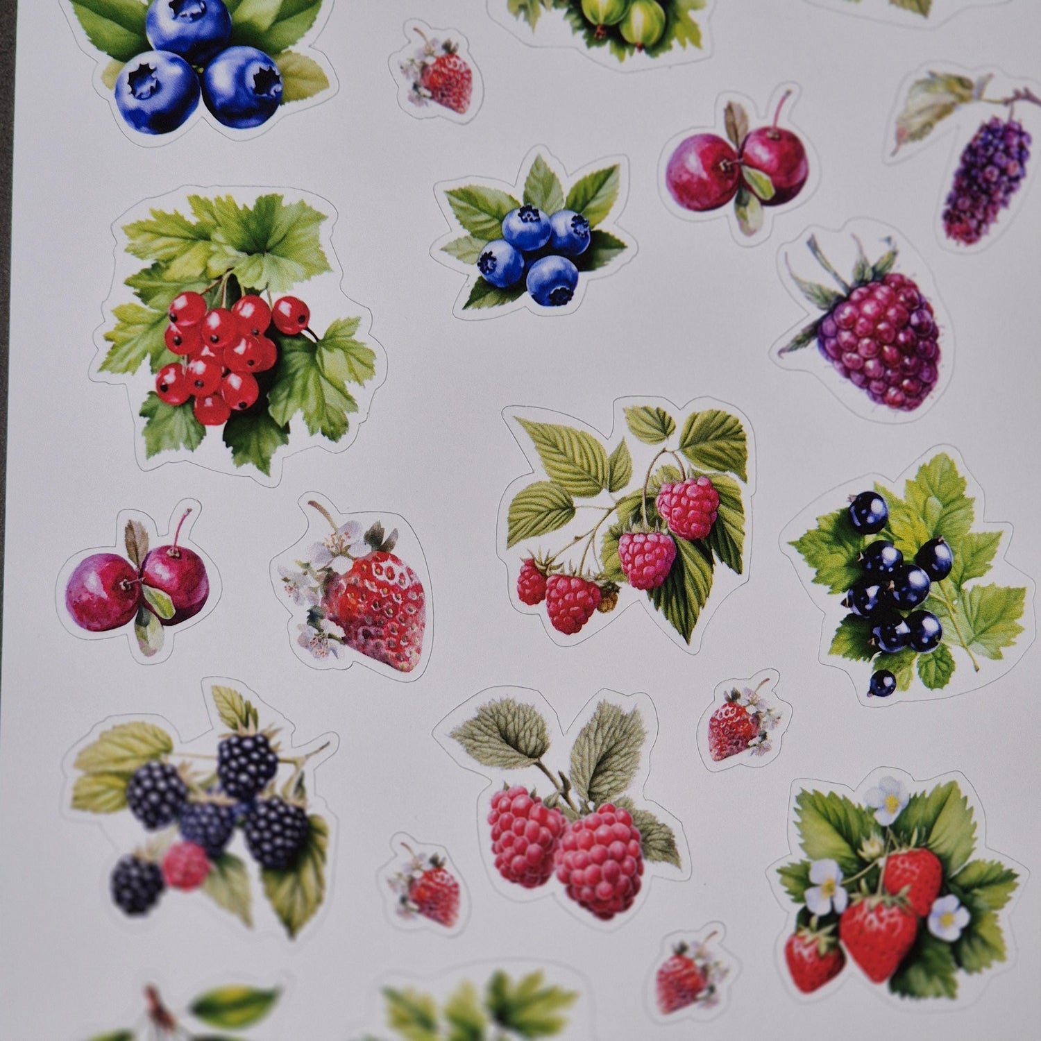 Aquarell-Stickerbogen mit Beerenmotiven – für Planer, Bullet Journal & Scrapbooking