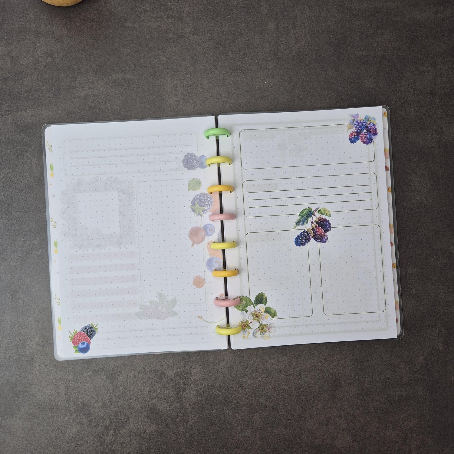 Dein wendebares A5 Discbound Bullet Journal – handgemacht mit bunten Seiten