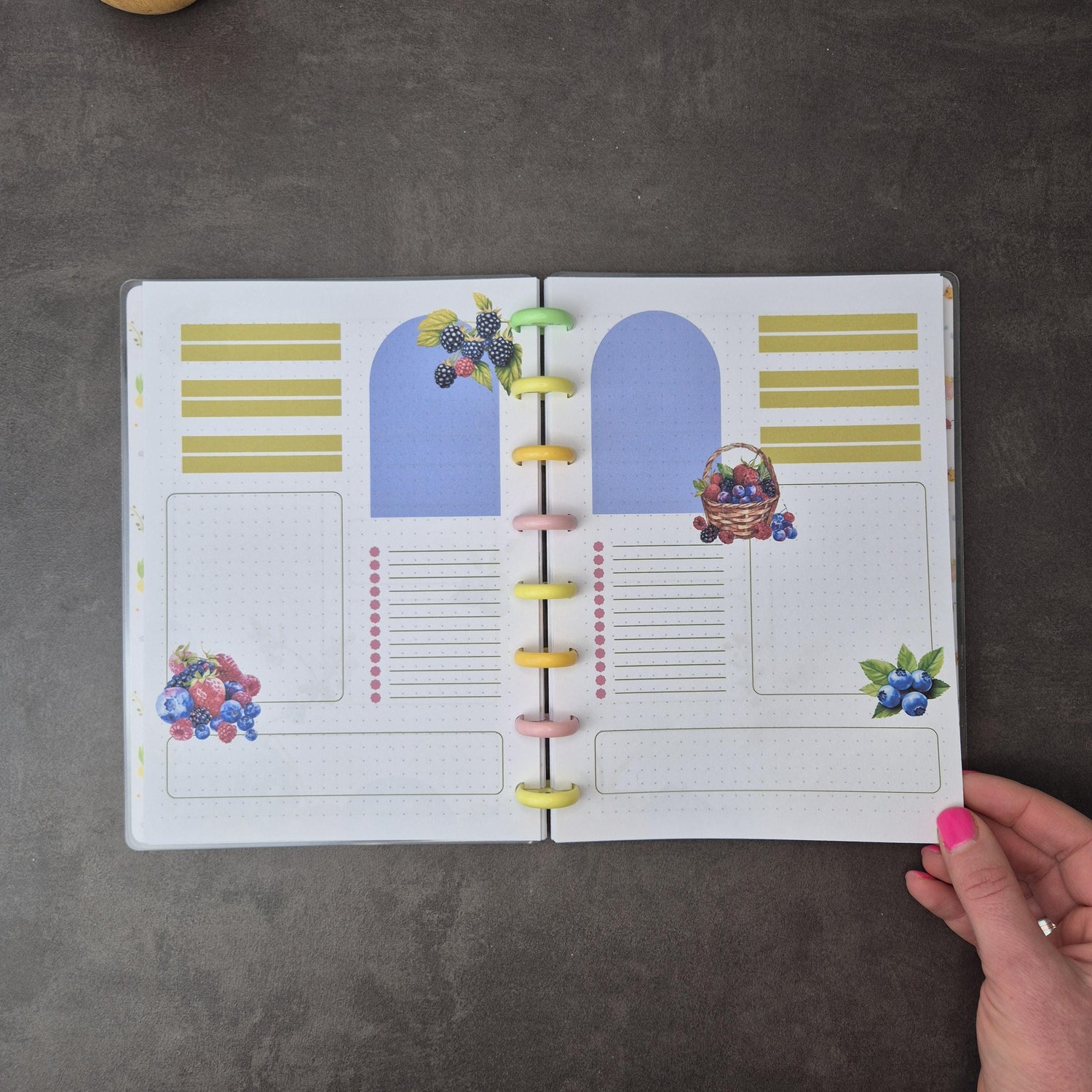 Dein wendebares A5 Discbound Bullet Journal – handgemacht mit bunten Seiten